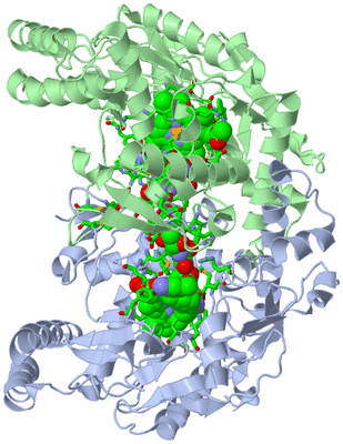 Image Asym./Biol. Unit - sites