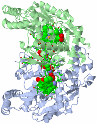 Image Asym./Biol. Unit - sites