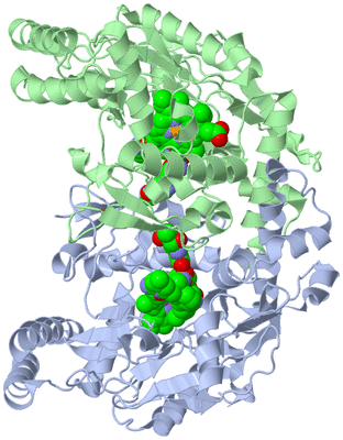 Image Asym./Biol. Unit