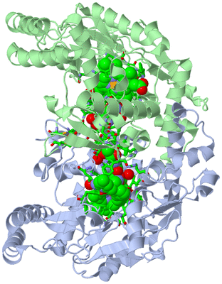 Image Asym./Biol. Unit - sites