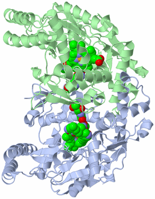 Image Asym./Biol. Unit