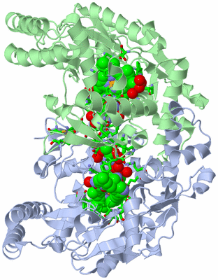 Image Asym./Biol. Unit - sites