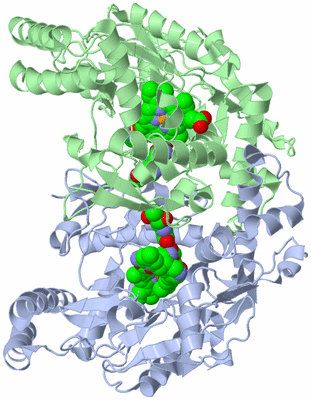 Image Asym./Biol. Unit