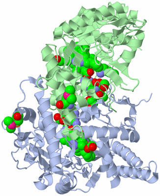 Image Asym./Biol. Unit