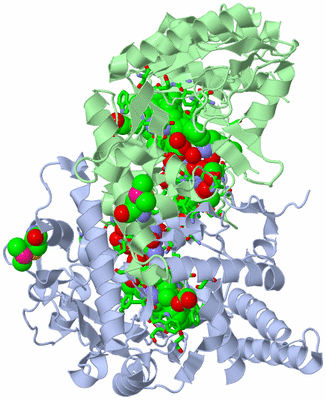 Image Asym./Biol. Unit - sites