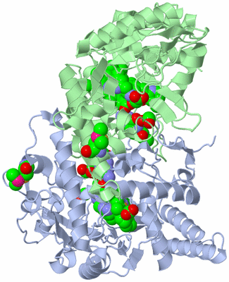 Image Asym./Biol. Unit