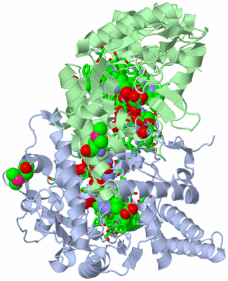 Image Asym./Biol. Unit - sites