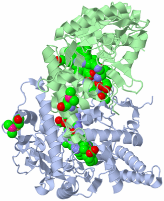 Image Asym./Biol. Unit