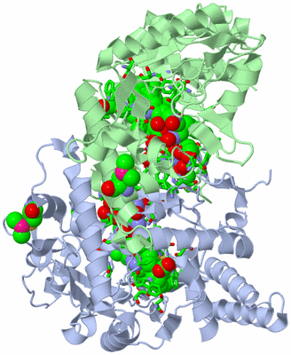 Image Asym./Biol. Unit - sites