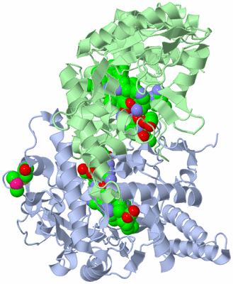 Image Asym./Biol. Unit