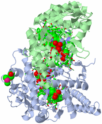 Image Asym./Biol. Unit - sites