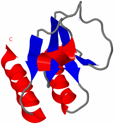 Image Asymmetric Unit