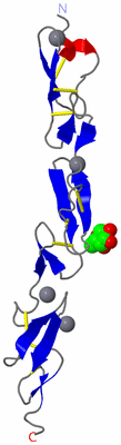 Image Asymmetric Unit