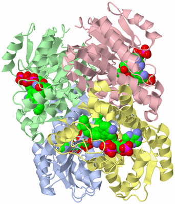 Image Biological Unit 1