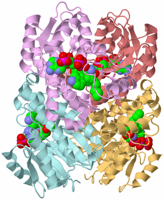 Image Biological Unit 2