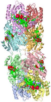 Image Asym. Unit - sites