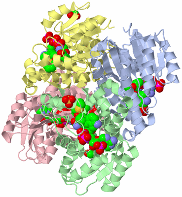 Image Asym./Biol. Unit