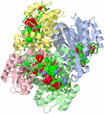 Image Asym./Biol. Unit - sites