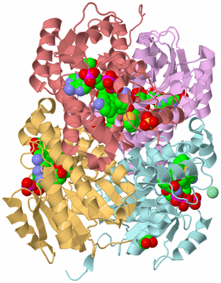 Image Biological Unit 1