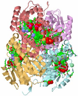 Image Biol. Unit 1 - sites