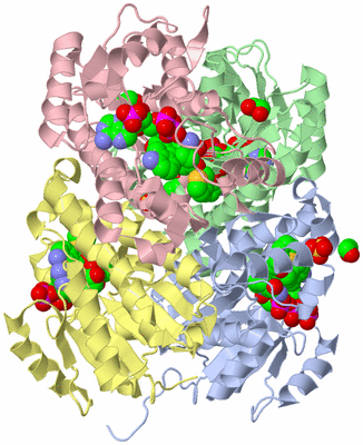 Image Biological Unit 2