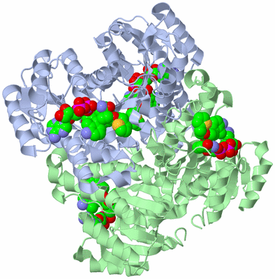 Image Biological Unit 1