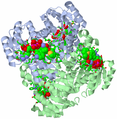 Image Biol. Unit 1 - sites