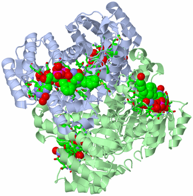 Image Biol. Unit 1 - sites