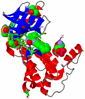 Image Asym./Biol. Unit - sites