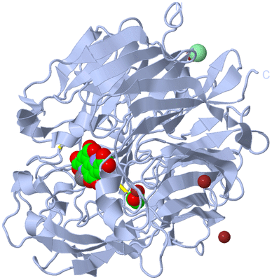 Image Biological Unit 1