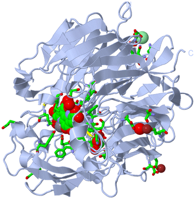 Image Biol. Unit 1 - sites