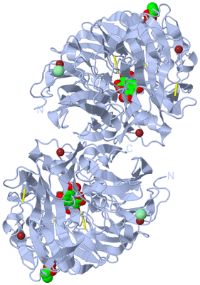 Image Biological Unit 2