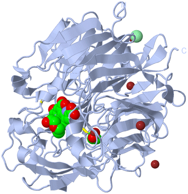 Image Biological Unit 1