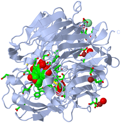 Image Biol. Unit 1 - sites