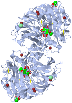 Image Biological Unit 2