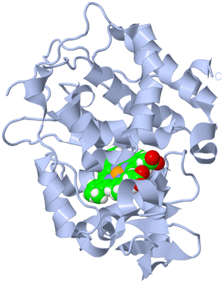 Image Biological Unit 1