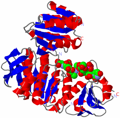 Image Asym./Biol. Unit