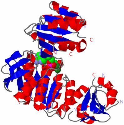 Image Asym./Biol. Unit