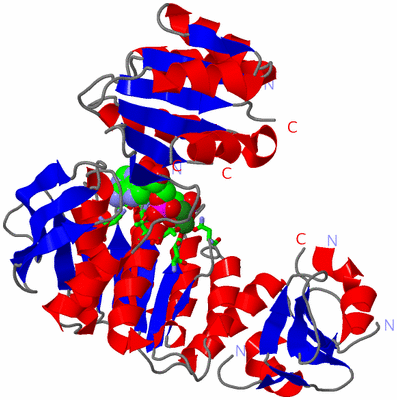 Image Asym./Biol. Unit - sites