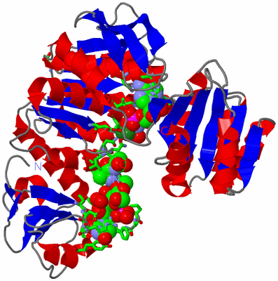 Image Asym./Biol. Unit - sites