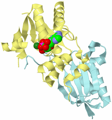 Image Biological Unit 1