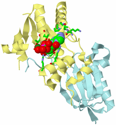 Image Biol. Unit 1 - sites