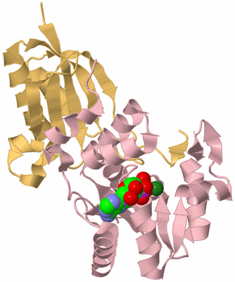 Image Biological Unit 2