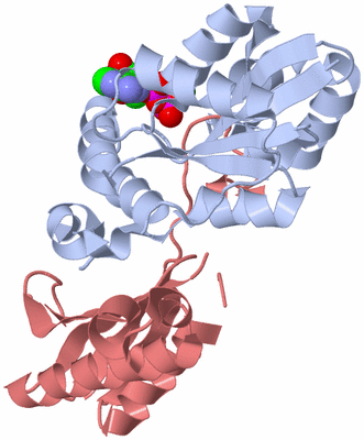 Image Biological Unit 3