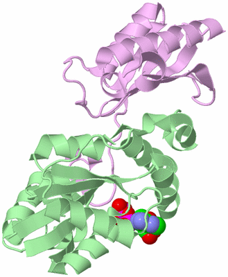 Image Biological Unit 4