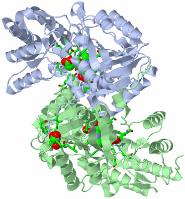 Image Asym./Biol. Unit - sites