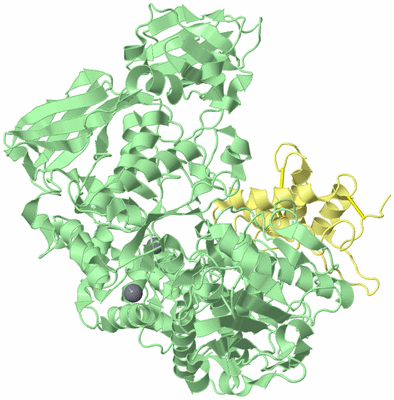 Image Biological Unit 2