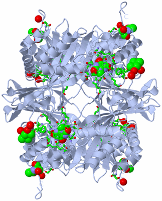 Image Biol. Unit 1 - sites