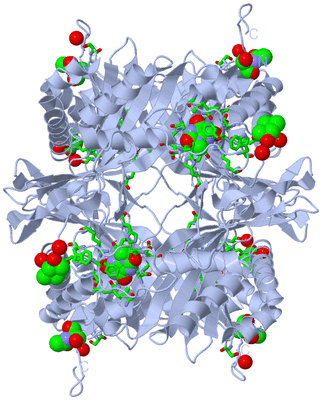 Image Biol. Unit 1 - sites