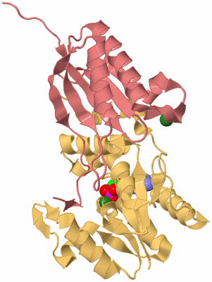 Image Biological Unit 1